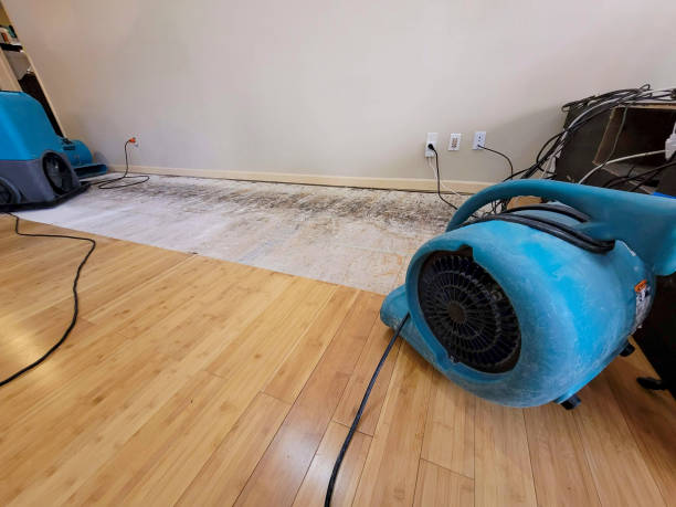 Professional Emergency Water Damage technician working in Elmira, NY